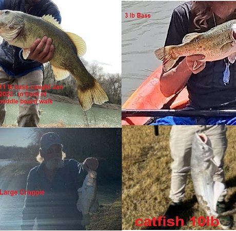 4 images of people with fish caught on the river