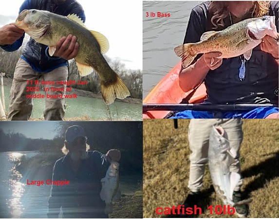 4 images of people with fish caught on the river