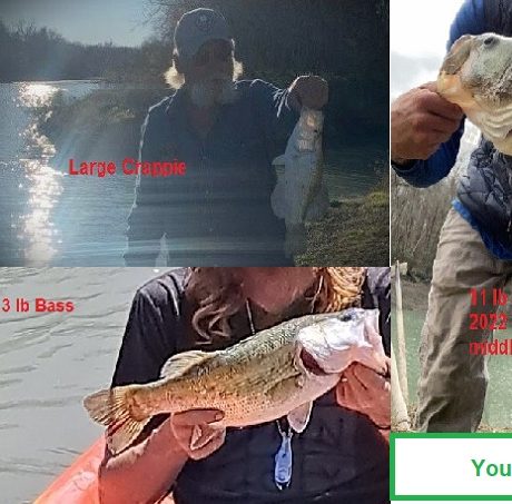 collage of people holding caught fish