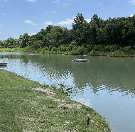 waterfront with dock, trees, and grass